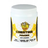 Creatine Monohydrate (500гр)